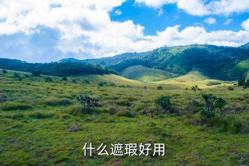 什么遮瑕好用