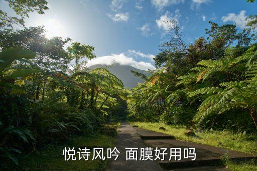  悦诗风吟 面膜好用吗