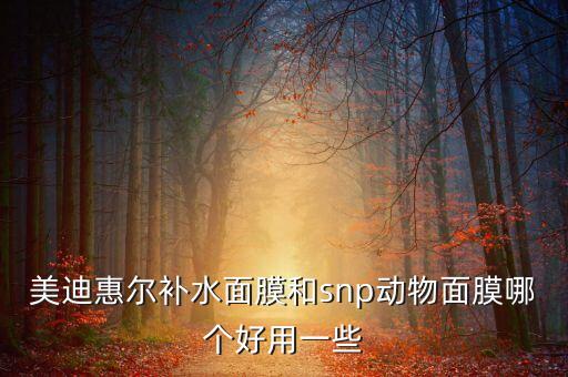 美迪惠尔补水面膜和snp动物面膜哪个好用一些