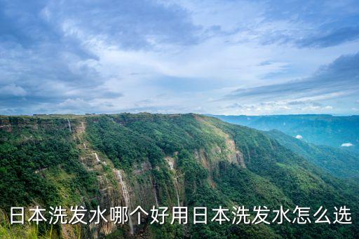 日本洗发水哪个好用日本洗发水怎么选