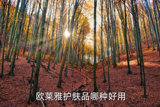  欧莱雅护肤品哪种好用