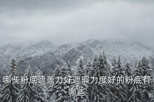 哪些粉底遮盖力好遮瑕力度好的粉底有哪些