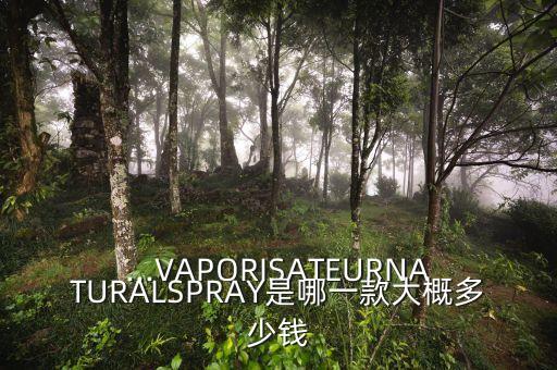 ...VAPORISATEURNATURALSPRAY是哪一款大概多少钱