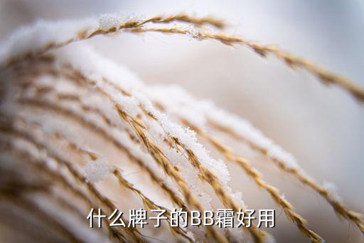 什么牌子的BB霜好用