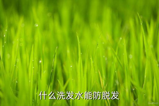 什么洗发水能防脱发