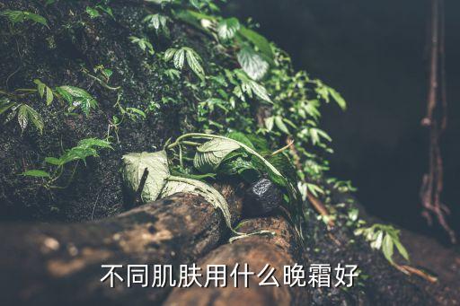 不同肌肤用什么晚霜好