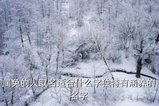 属兔的人取名适合什么字独特有涵养的名字