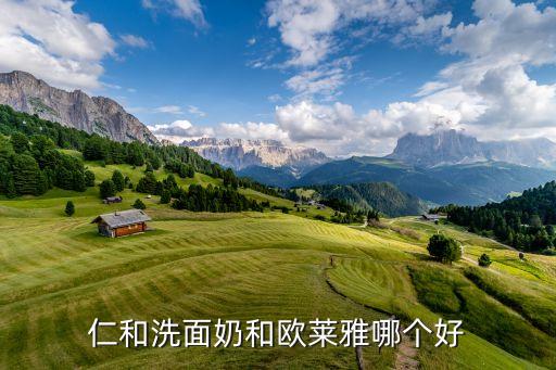 仁和洗面奶和欧莱雅哪个好