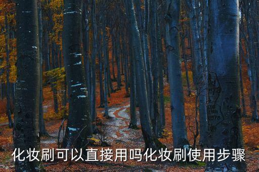 化妆刷可以直接用吗化妆刷使用步骤
