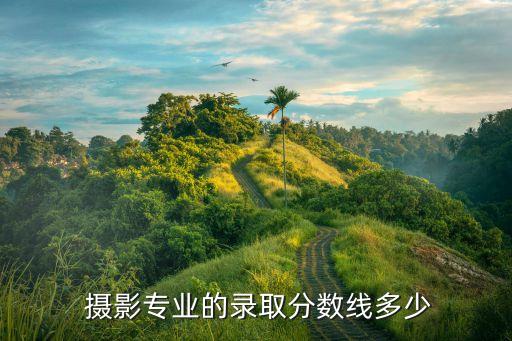 天津摄影学校有哪些,摄影专业的学校有哪些专科