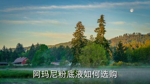 阿玛尼粉底液如何选购