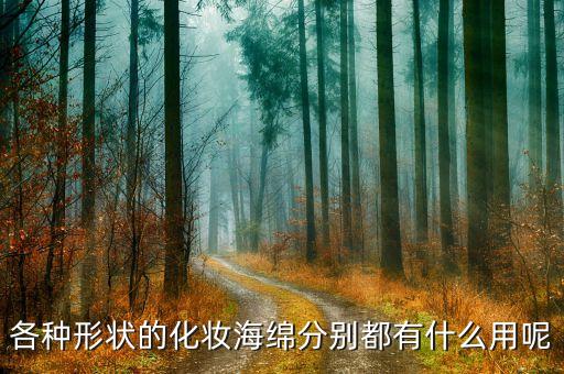 各种形状的化妆海绵分别都有什么用呢
