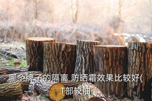 哪个牌子的隔离 防晒霜效果比较好(T部较油