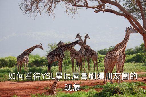 如何看待YSL星辰唇膏刷爆朋友圈的现象