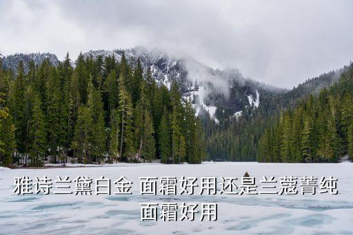 雅诗兰黛白金 面霜好用还是兰蔻菁纯 面霜好用