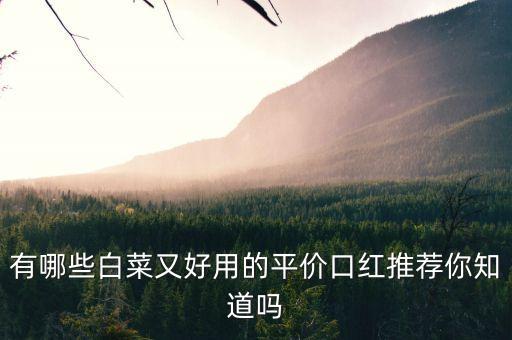 有哪些白菜又好用的平价口红推荐你知道吗