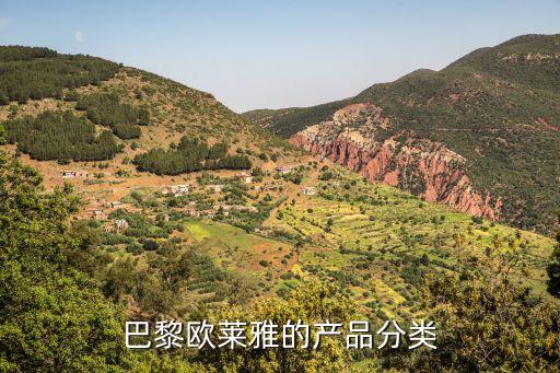 欧莱雅哪个系列粉饼,巴黎欧莱雅产品分类