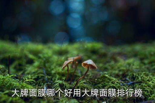 大牌面膜哪个好用大牌面膜排行榜