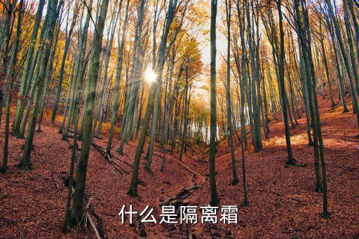 什么是隔离霜