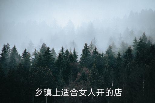  乡镇上适合女人开的店
