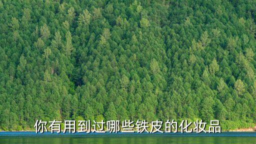 你有用到过哪些铁皮的化妆品