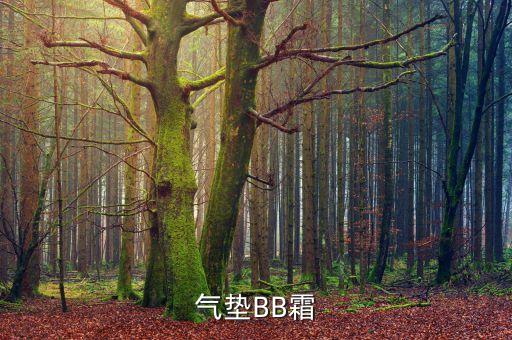 气垫BB霜