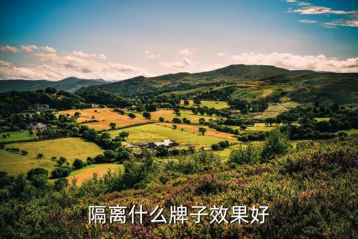 隔离什么牌子效果好