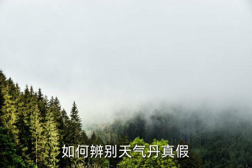 如何辨别天气丹真假