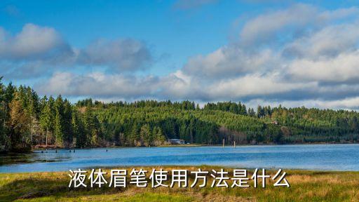 眉笔带眉刷怎么用,哪个牌子的眉笔配眉刷好用？