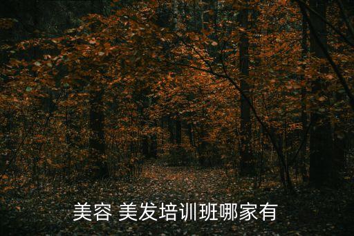美容 美发培训班哪家有