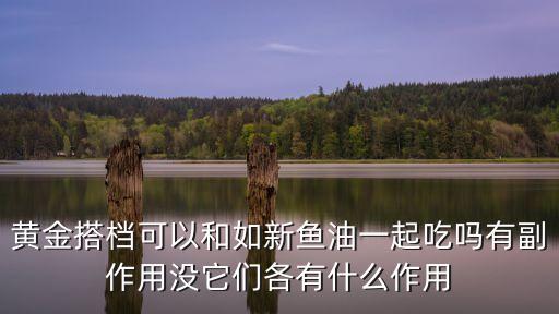 黄金搭档可以和如新鱼油一起吃吗有副作用没它们各有什么作用