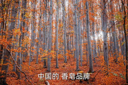 中国的 香皂品牌