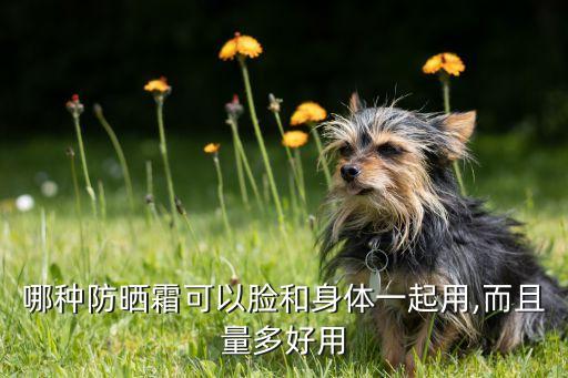哪种防晒霜可以脸和身体一起用,而且量多好用