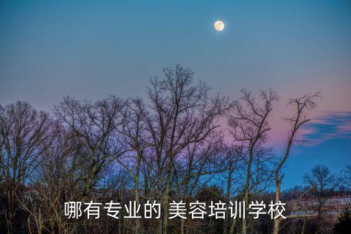 哪有专业的 美容培训学校