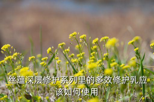  丝蕴深层修护系列里的多效修护乳应该如何使用