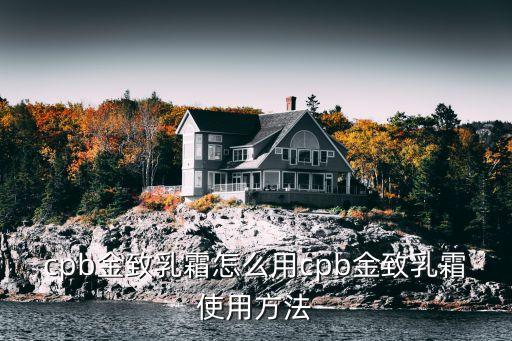 cpb金致乳霜怎么用cpb金致乳霜使用方法