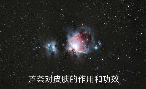  芦荟对皮肤的作用和功效