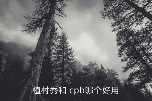 植村秀和 cpb哪个好用