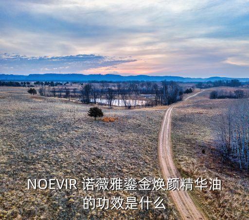 NOEVIR 诺薇雅鎏金焕颜精华油的功效是什么