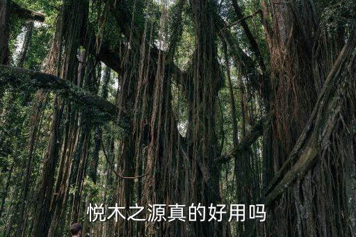 悦木之源真的好用吗
