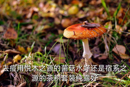 去痘用悦木之源的菌菇水好还是宿系之源的茶积套装纯露好