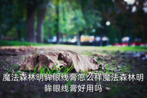 棕色眼线液怎么样,想要拥有长长睫毛?可以试一试!