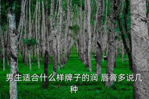 男生适合什么样牌子的润 唇膏多说几种