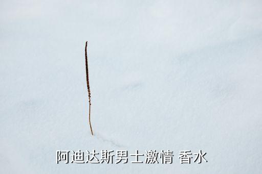 阿迪达斯男士激情 香水