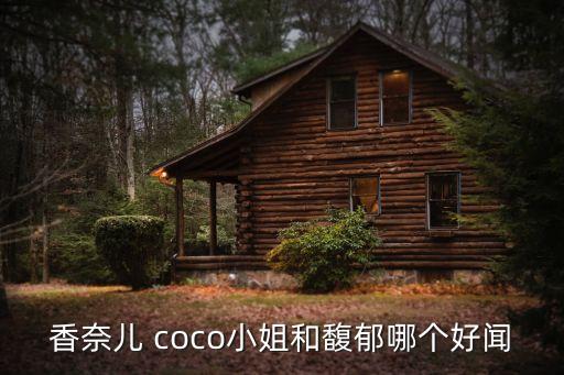 coco是什么香水牌子,miss coco香水是什么牌子