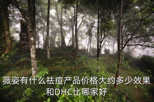薇姿有什么祛痘产品价格大约多少效果和DHC比哪家好