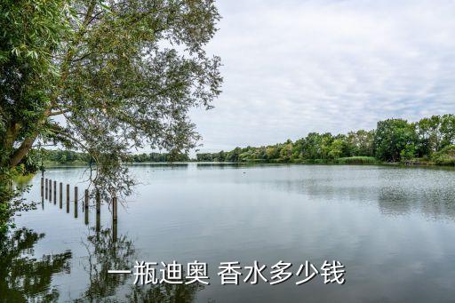 一瓶迪奥 香水多少钱