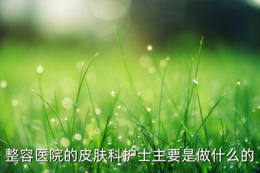 美容都做什么工作内容,会计主要做什么？