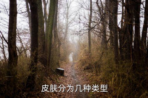  皮肤分为几种类型
