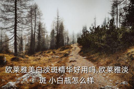 欧莱雅美白淡斑精华好用吗,欧莱雅淡斑 小白瓶怎么样